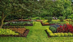 Make Your Garden a Thing of Beauty with the Right Plants - WordYrazzii