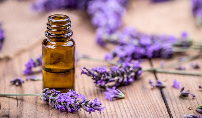lavender-essential-oil