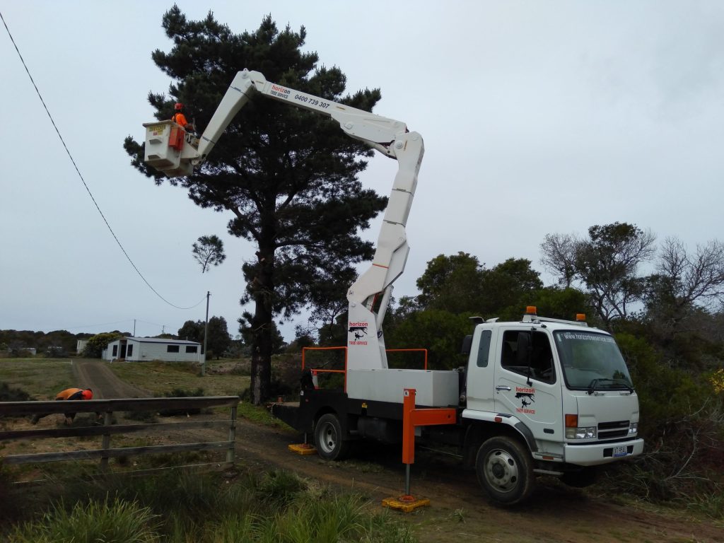 Regardless of the size of your garden or the type of electricity network you have, there will always be cables that run through or around your home. If the trees and shrubs growing nearby are left unchecked, they can eventually encroach on these chords, making them vulnerable to damage.