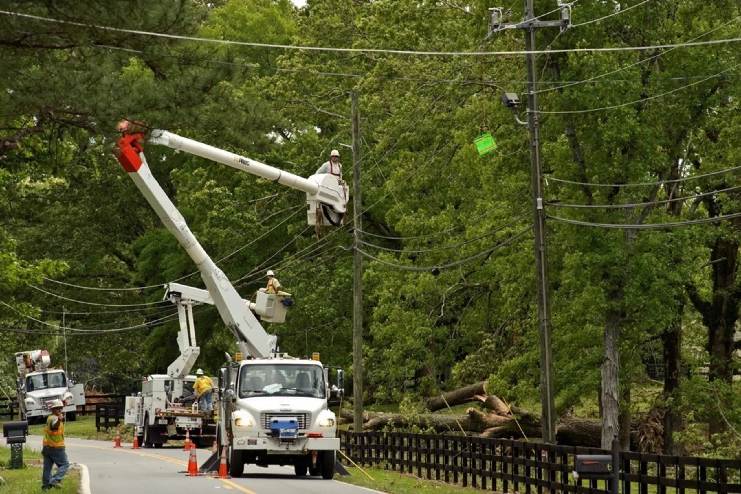 Tree Care 101 The Importance of Powerline Clearing