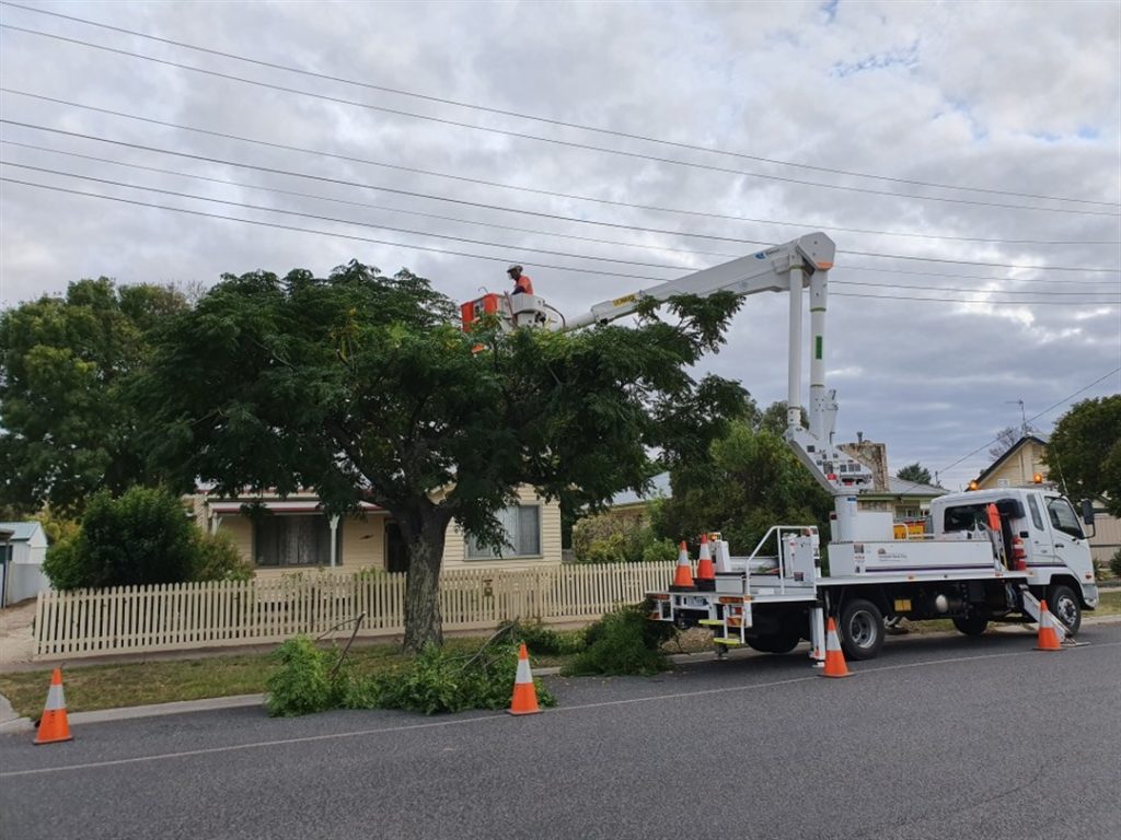 Tree pruning is a delicate process that can take on four main shapes based on the structure, density and type of tree. The first one is the clean prune which is used for removing deadwood, diseased or damaged branches with no visible collateral damage. It prevents the spread of infection and the further deterioration of the tree.