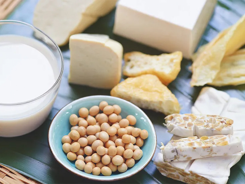 probiotic rich foods